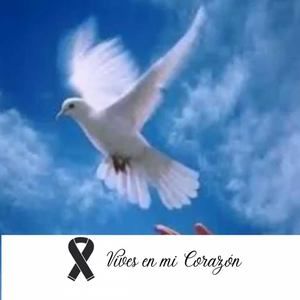 Meet your Posher, Ana